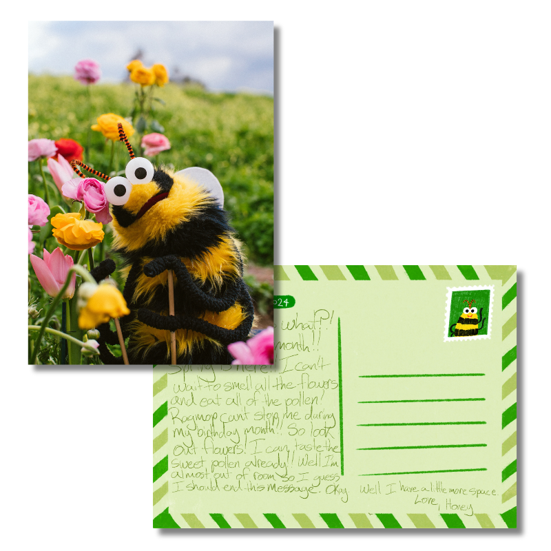 March 2024 - Honey the Bday Boy -  Exclusive Patreon Postcard
