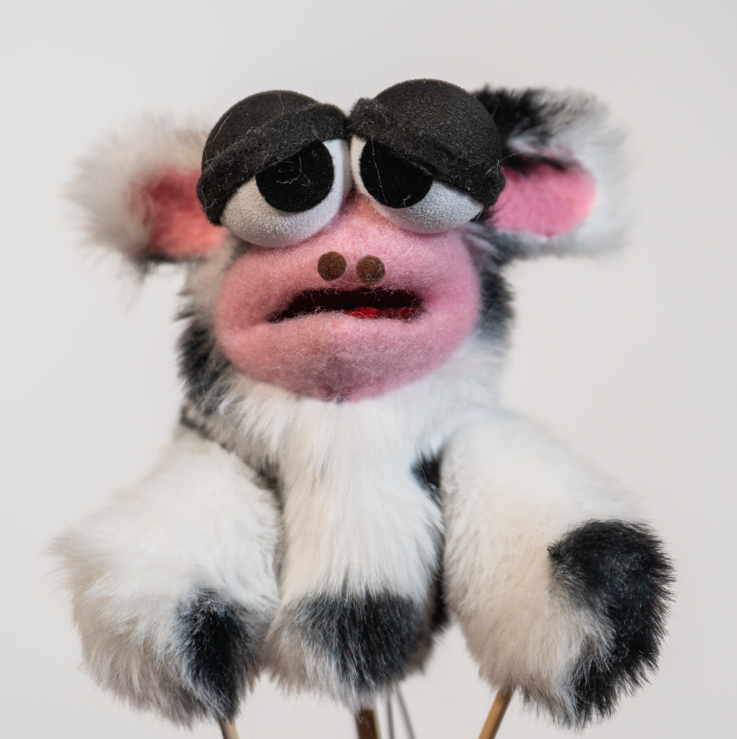 Tiny Molly (Finger Puppet)