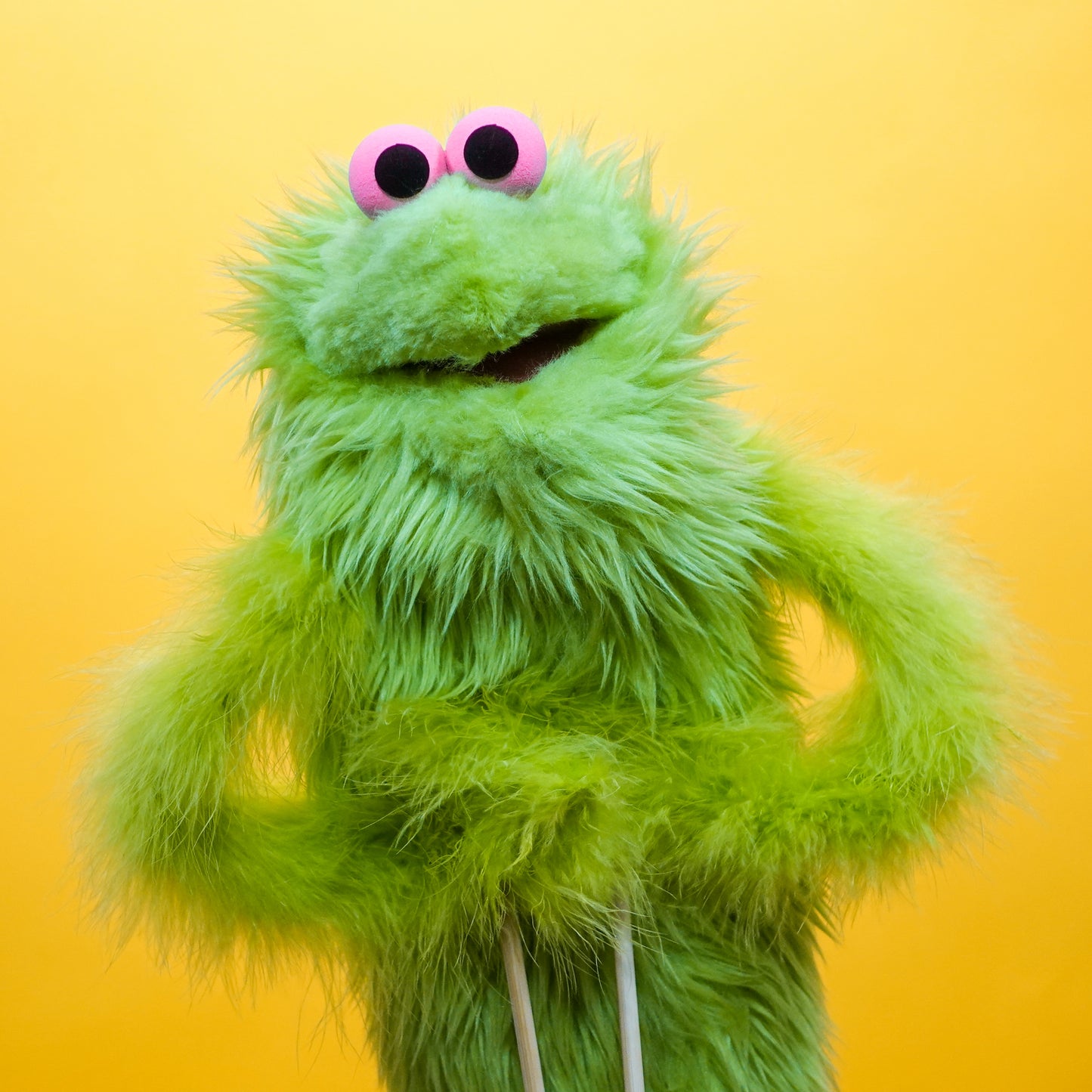 Cam Winston - Hand & Rod Puppet