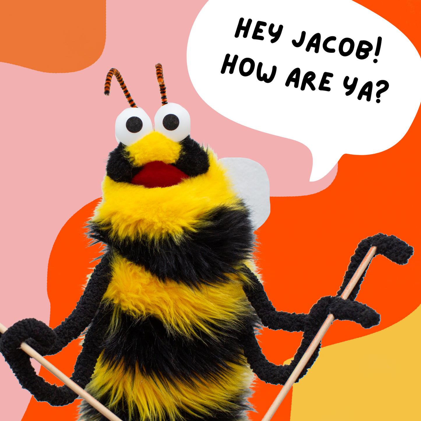 Personal Video Message from a Puppet!