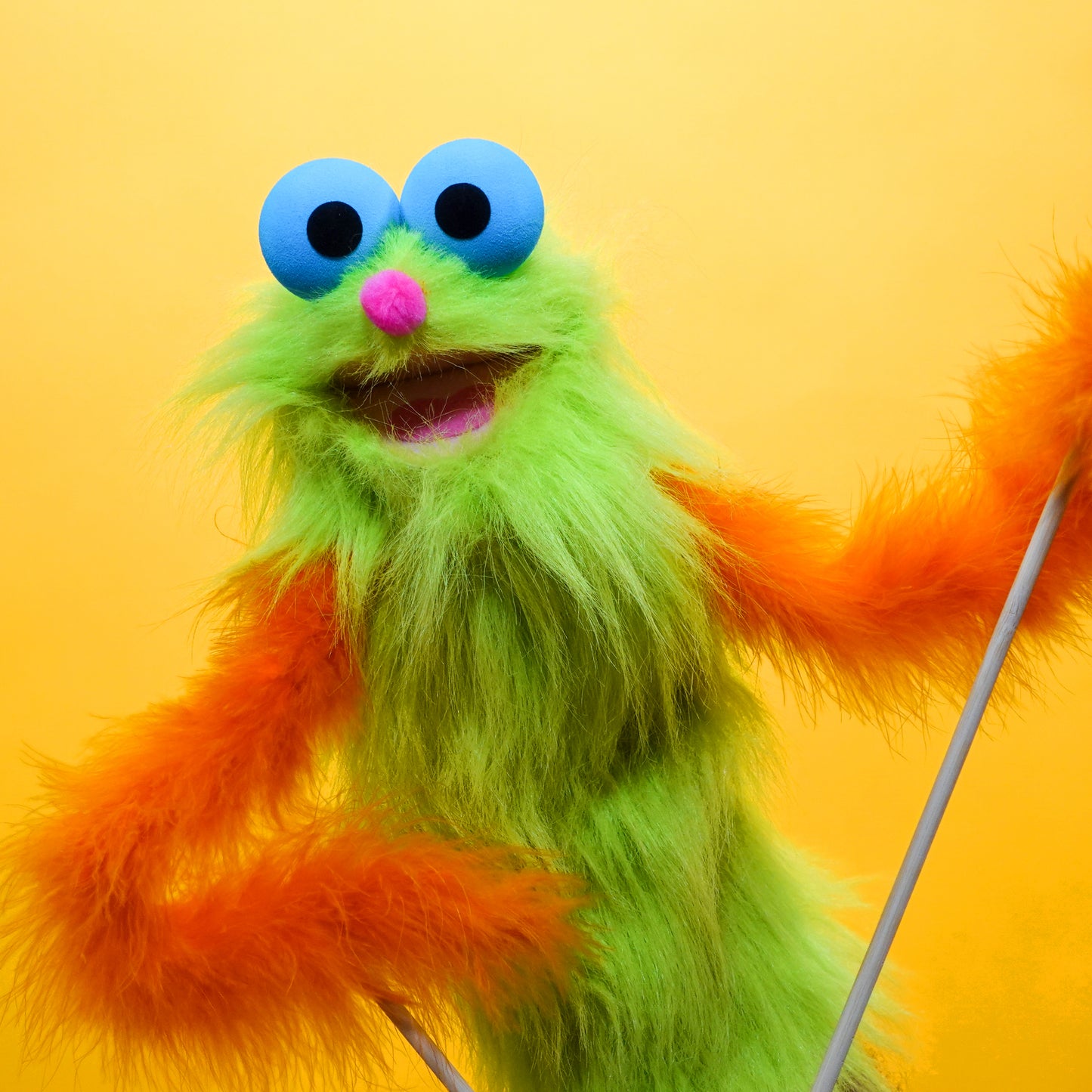 Kiwi - Hand & Rod Puppet