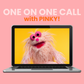 One-On-One Zoom Call with Pinky